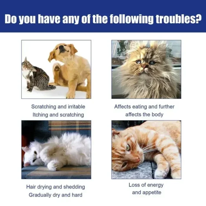 Anti Flea Drops - Image 3