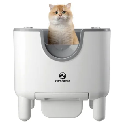 Clumping Cat Litte