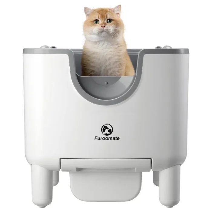 Clumping Cat Litte