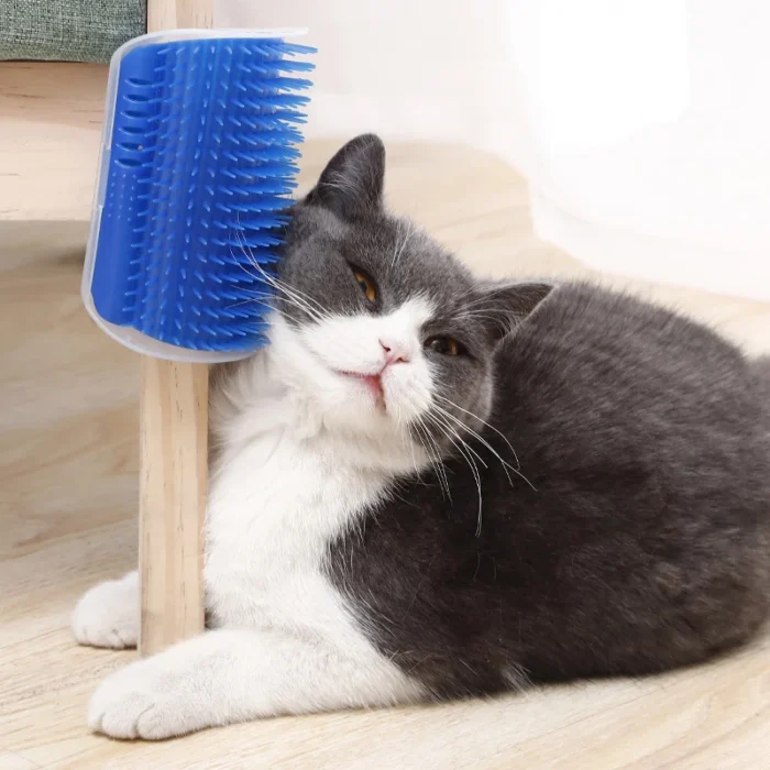 Cat Brush Comb - Image 5