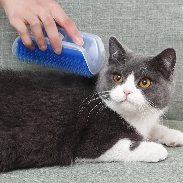 Cat Brush Comb - Image 6